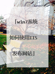 win7系统如何使用IIS发布网站