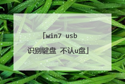 win7 usb 识别键盘 不认u盘