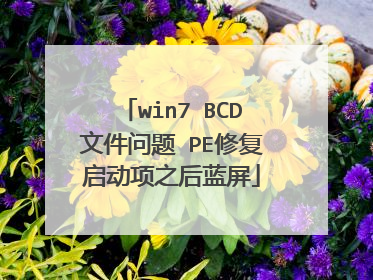 win7 BCD文件问题 PE修复启动项之后蓝屏