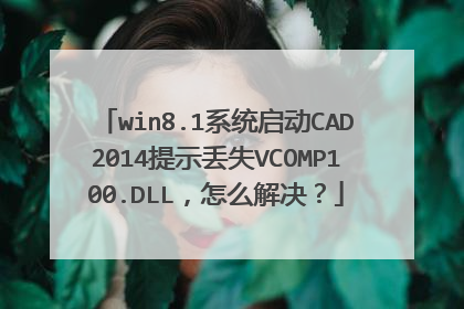 win8.1系统启动CAD2014提示丢失VCOMP100.DLL,怎么解决?