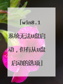win8.1系统无法U盘启动,但有从U盘启动的选项