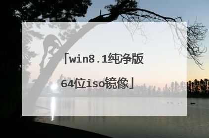 win8.1纯净版64位iso镜像