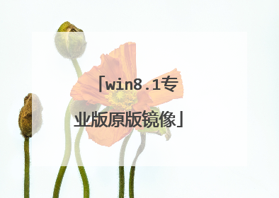 win8.1专业版原版镜像