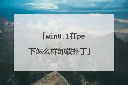 win8.1在pe下怎么样卸载补丁
