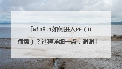 win8.1如何进入PE(U盘版)?过程详细一点,谢谢