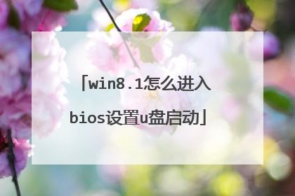 win8.1怎么进入bios设置u盘启动