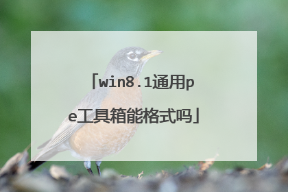win8.1通用pe工具箱能格式吗