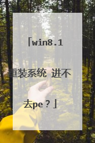 win8.1重装系统 进不去pe？