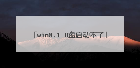 win8.1 U盘启动不了