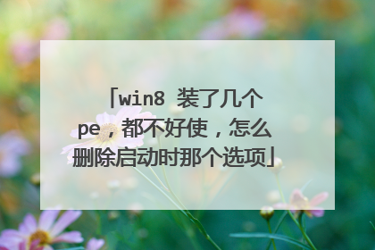 win8 装了几个pe，都不好使，怎么删除启动时那个选项