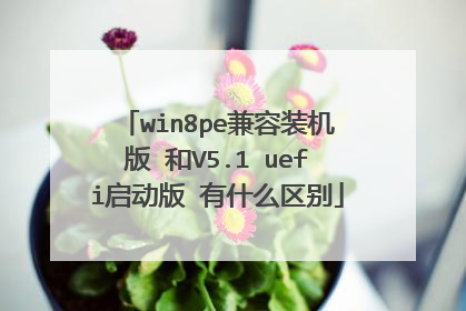 win8pe兼容装机版 和V5.1 uefi启动版 有什么区别