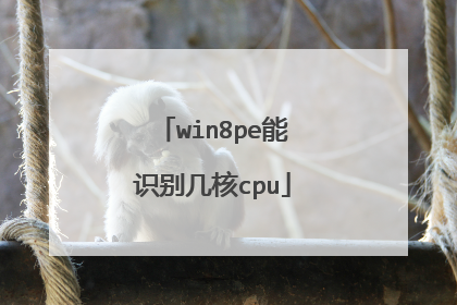 win8pe能识别几核cpu