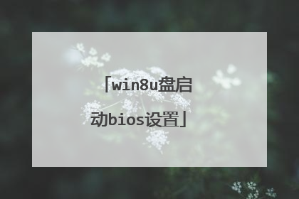 win8u盘启动bios设置