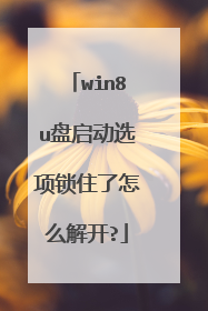 win8u盘启动选项锁住了怎么解开?