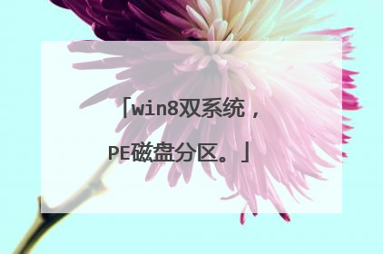 win8双系统,PE磁盘分区。