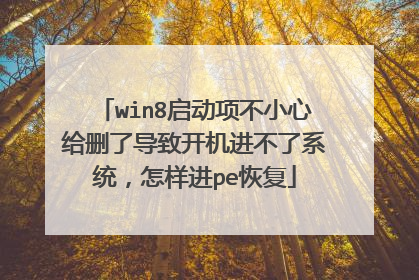 win8启动项不小心给删了导致开机进不了系统,怎样进pe恢复