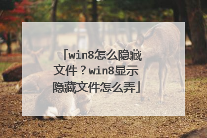 win8怎么隐藏文件?win8显示隐藏文件怎么弄