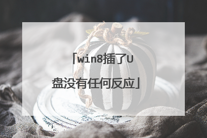 win8插了U盘没有任何反应