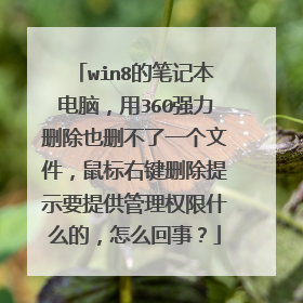 win8的笔记本电脑，用360强力删除也删不了一个文件，鼠标右键删除提示要提供管理权限什么的，怎么回事？