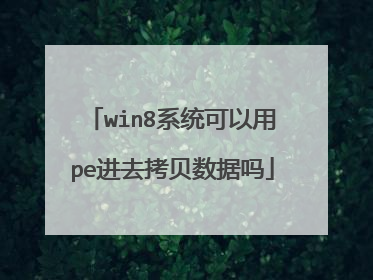 win8系统可以用pe进去拷贝数据吗