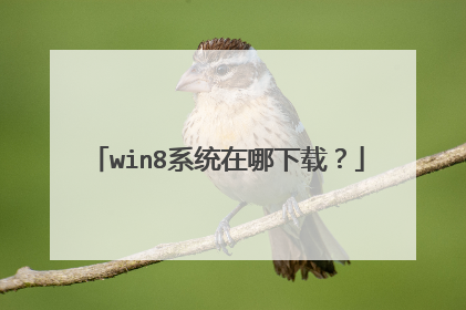 win8系统在哪下载?