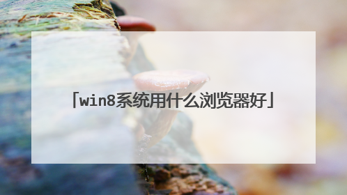 win8系统用什么浏览器好