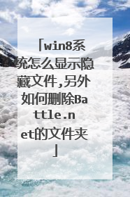 win8系统怎么显示隐藏文件,另外如何删除Battle.net的文件夹