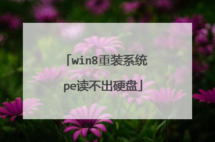win8重装系统 pe读不出硬盘