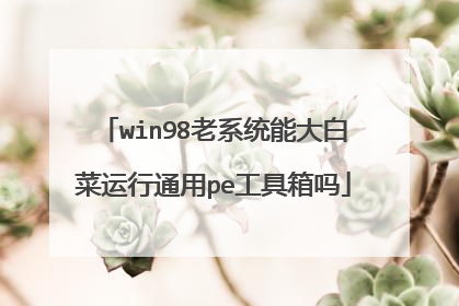 win98老系统能大白菜运行通用pe工具箱吗