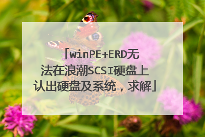 winPE+ERD无法在浪潮SCSI硬盘上认出硬盘及系统,求解