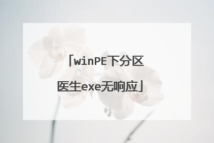 winPE下分区医生exe无响应