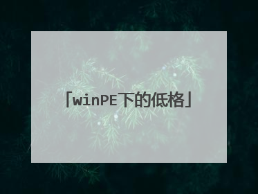 winPE下的低格