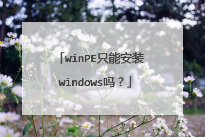 winPE只能安装windows吗?