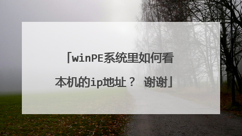 winPE系统里如何看本机的ip地址？ 谢谢