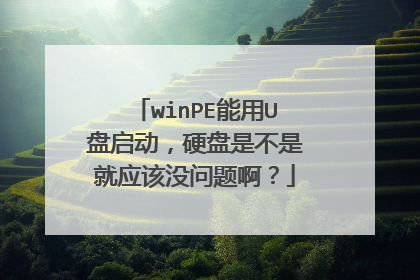 winPE能用U盘启动，硬盘是不是就应该没问题啊？
