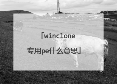 winclone专用pe什么意思