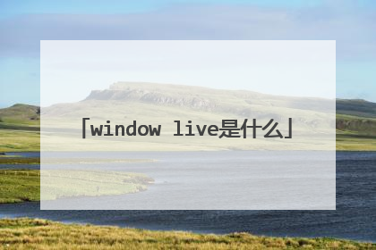 window live是什么