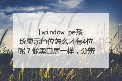 window pe系统显示色位怎么才有4位呢？像黑白屏一样，分辨率又不能改怎么回事？