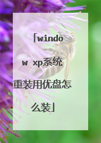 window xp系统重装用优盘怎么装