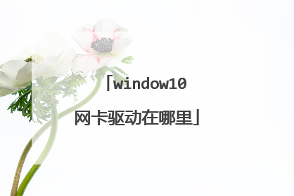 window10网卡驱动在哪里