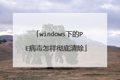 windows下的PE病毒怎样彻底清除