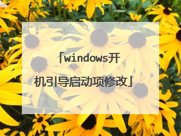 windows开机引导启动项修改