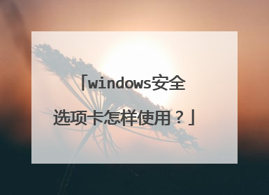 windows安全选项卡怎样使用?