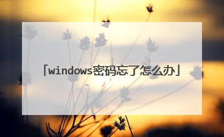 windows密码忘了怎么办
