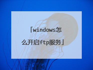 windows怎么开启ftp服务