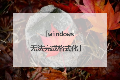 windows无法完成格式化