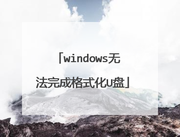 windows无法完成格式化U盘