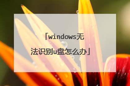 windows无法识别u盘怎么办