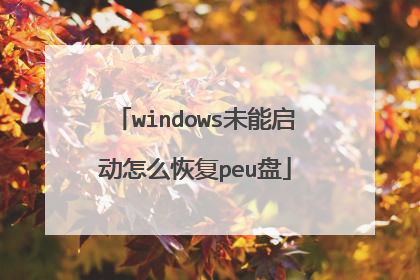 windows未能启动怎么恢复peu盘