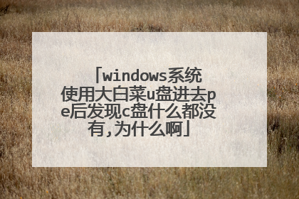 windows系统使用大白菜u盘进去pe后发现c盘什么都没有,为什么啊